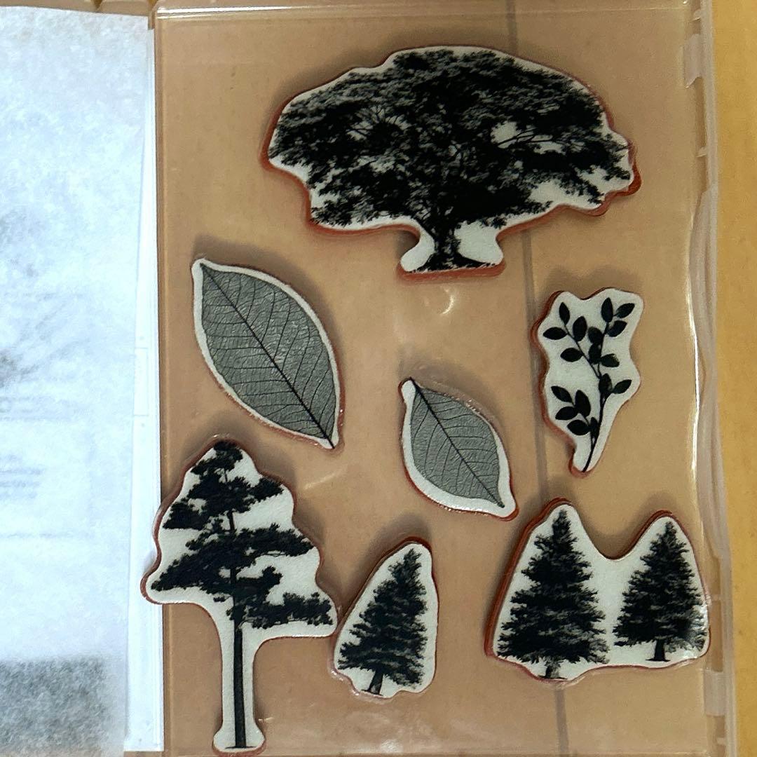 スタンピンアップ　スタンプ&ダイの3セット　【ROOTET IN NATURE】