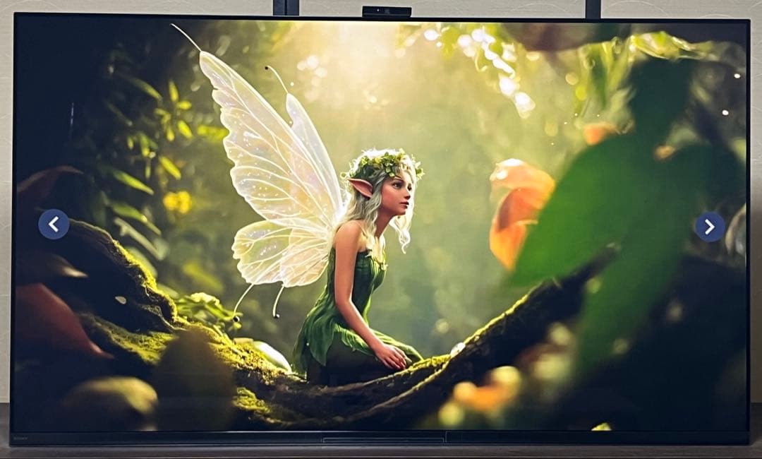 BRAVIA XRJ55 A95K 55インチ