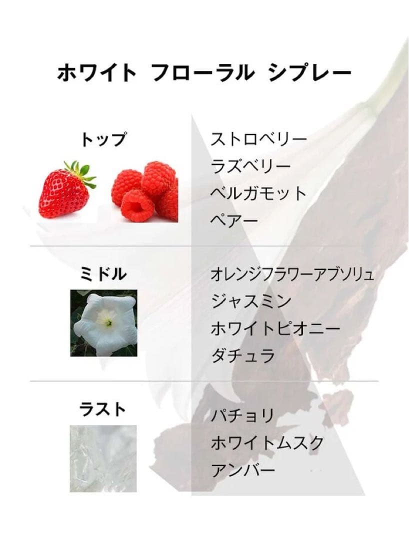 【新品未使用】YSL モンパリ　オーデパルファム　【50ml】　イヴサンローラン