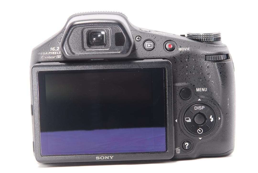 SONY Cybershot DSC-HX100V✨美品 純正バック付き✨