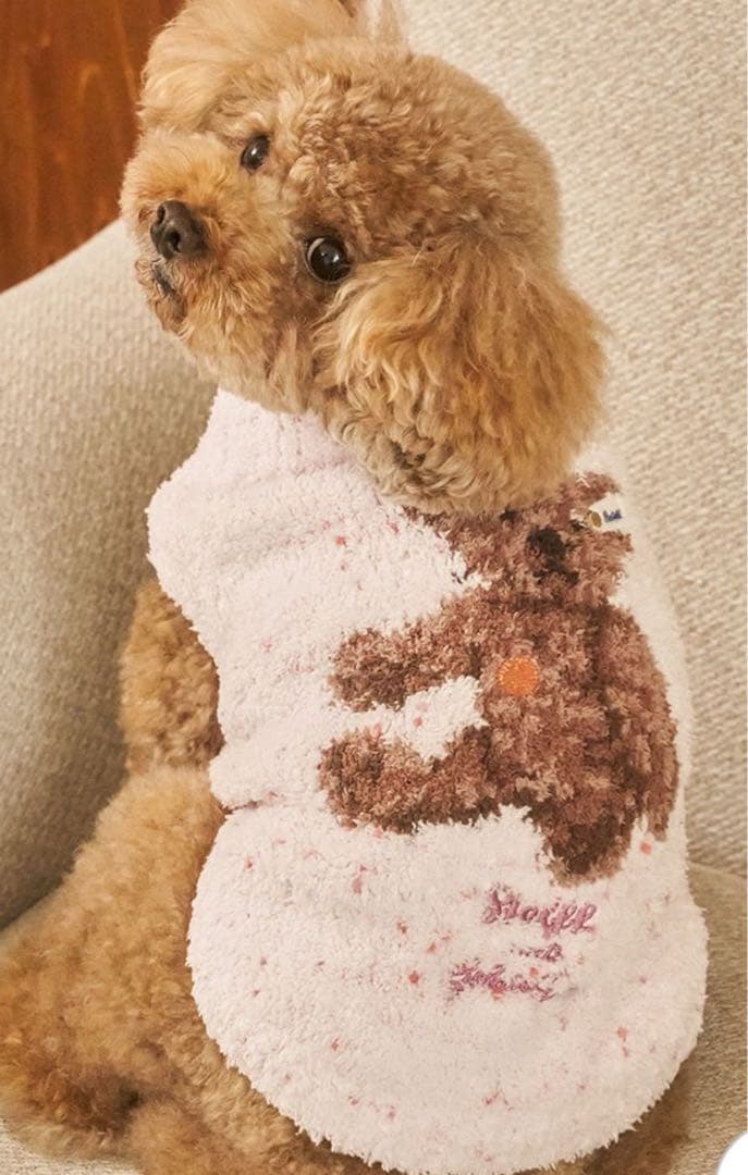 新品✨ジェラートピケ　ジェラピケ　犬服　猫服　ピンク　つぶつぶ　プルオーバー