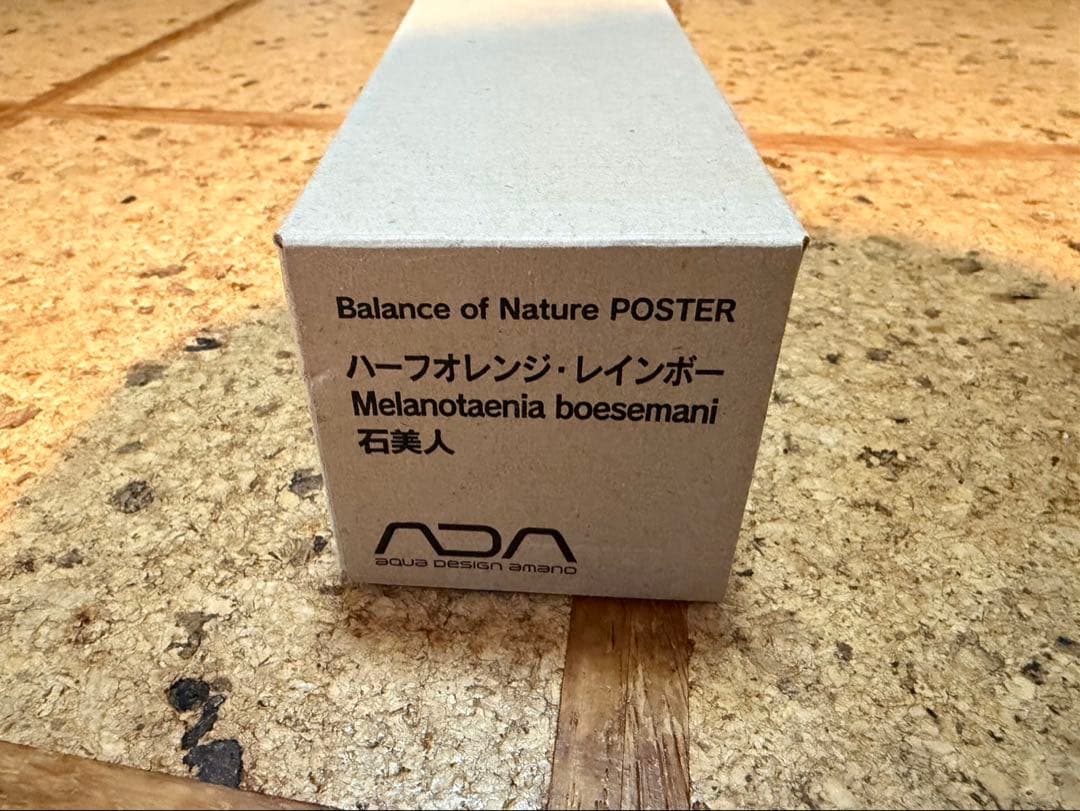 ADA Balance of Nature ポスター ハーフオレンジレインボー