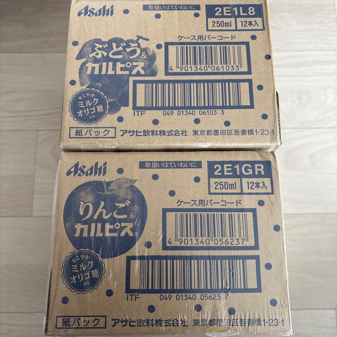 パックジューススムージー　カルピスぶどうアップルドトール
