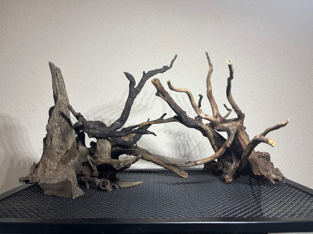 アク抜き済み流木　45~60cm水槽用