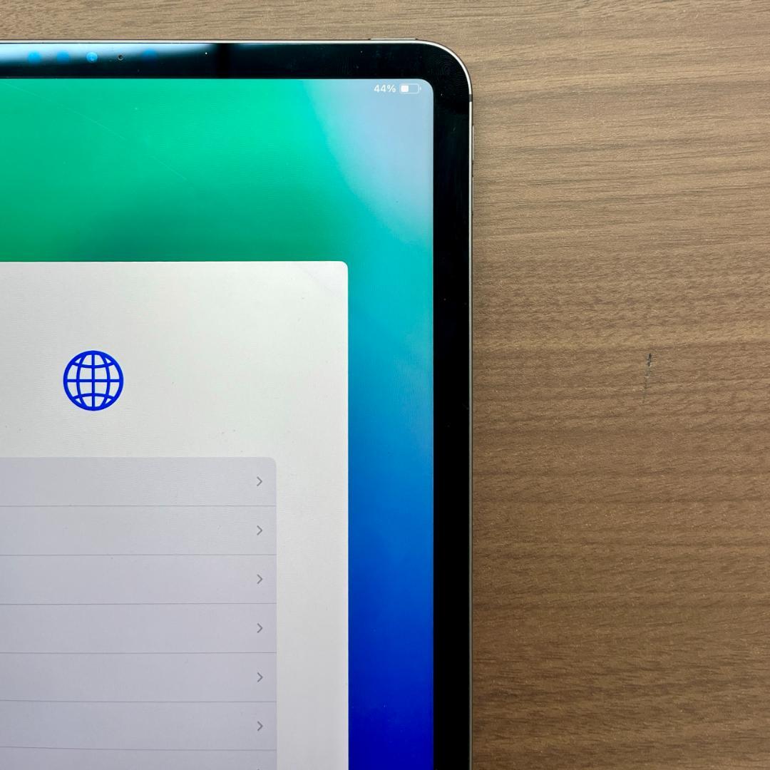 ち*ご様 動作確認済み iPad Pro 11インチ 256GB ID 42B0