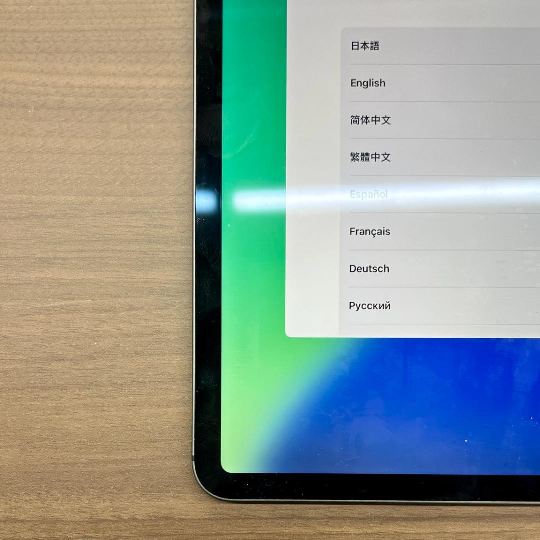 ち*ご様 動作確認済み iPad Pro 11インチ 256GB ID 42B0