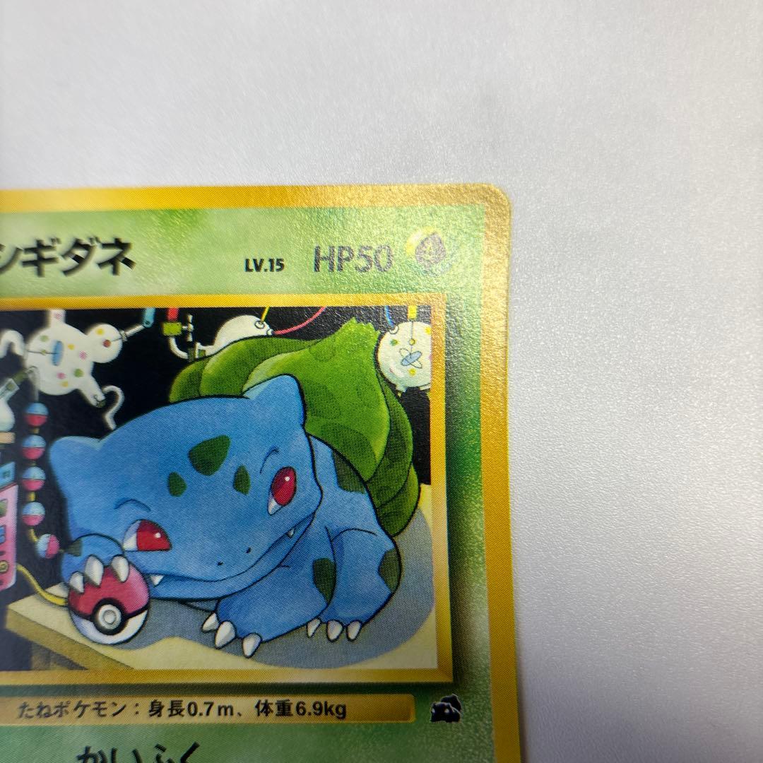 ポケモンカード　旧裏　フシギダネ　イントロパック