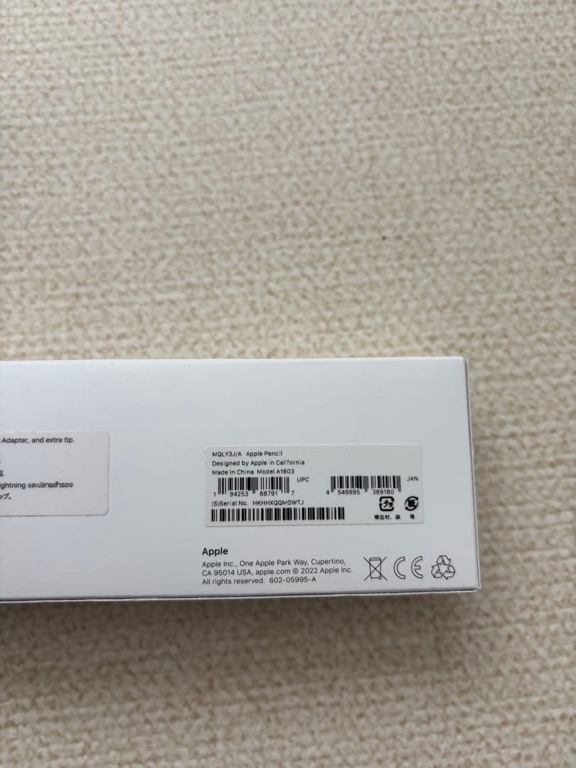 Apple iPad 本体 ブラック Apple Pencil付き