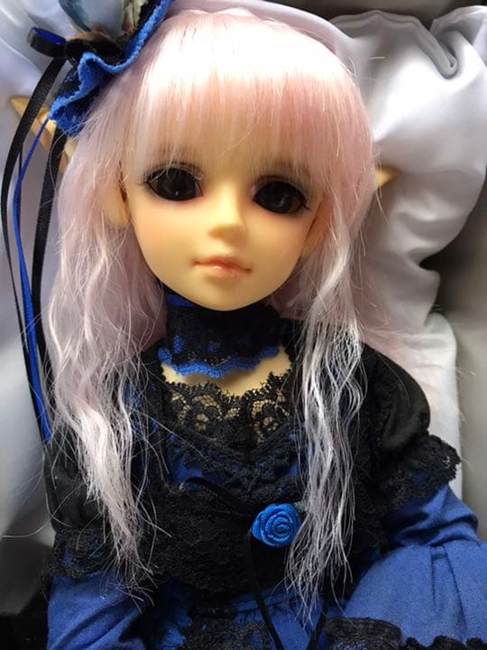 スーパードルフィー　MSD
