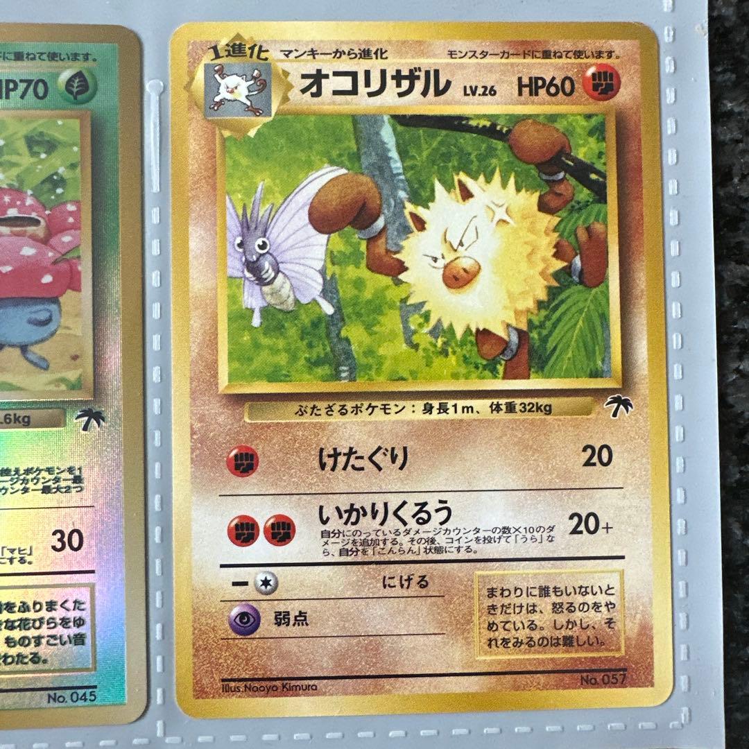 【貴重】ポケモンカード サザンアイランド 3セット お花畑 海 ジャングル