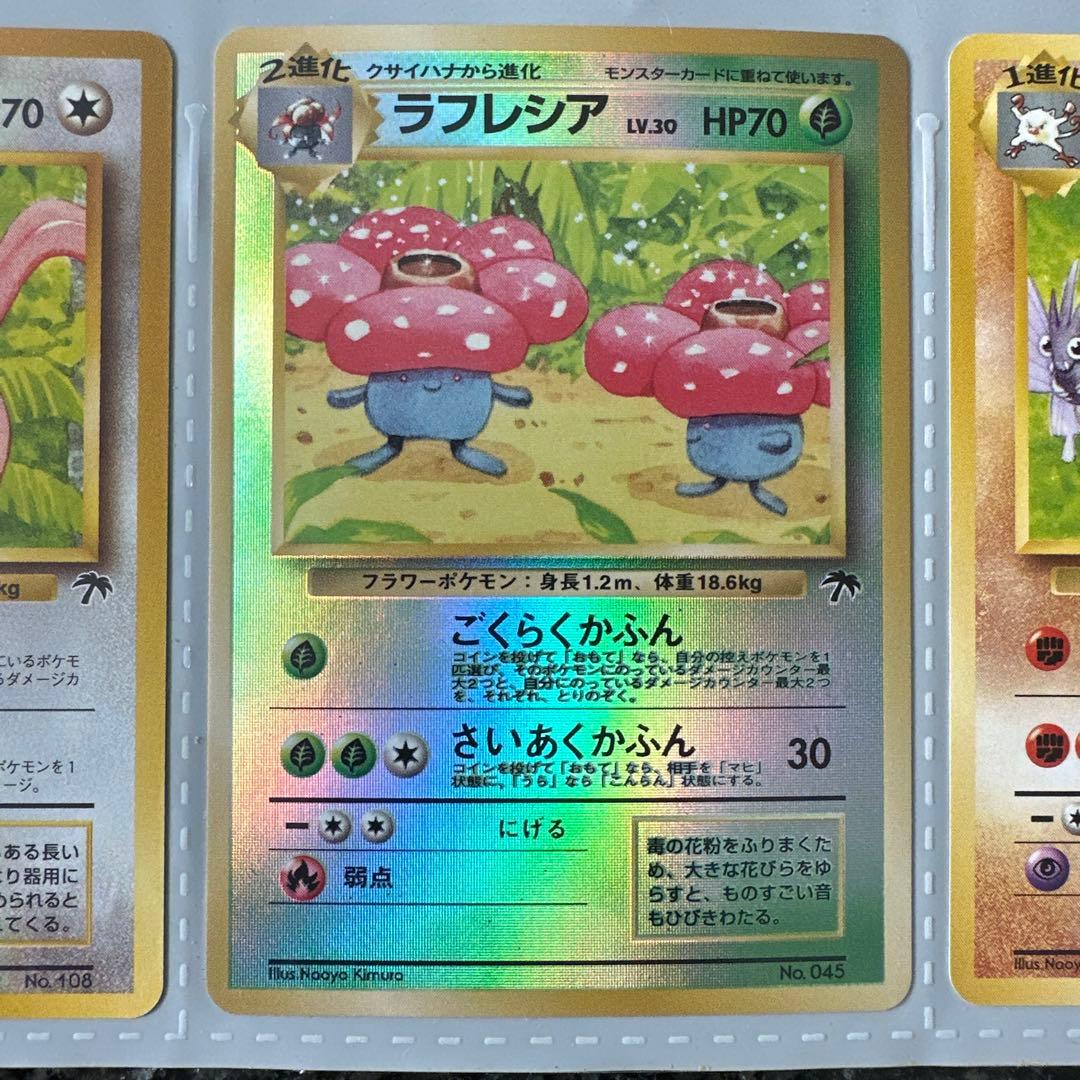 【貴重】ポケモンカード サザンアイランド 3セット お花畑 海 ジャングル
