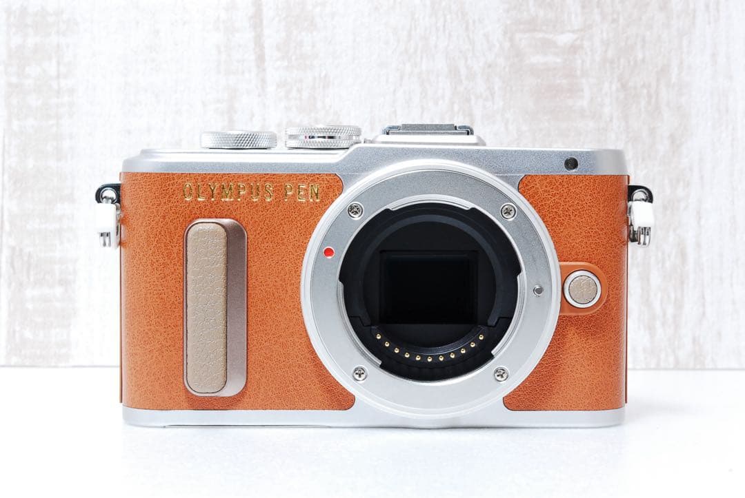 ✨美品✨ ショット数少✨OLYMPUS E-PL8 ダブルズームキット