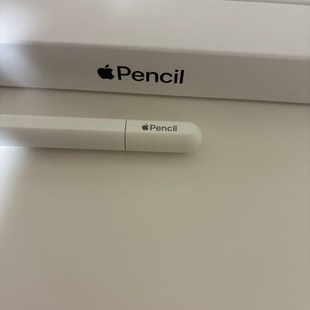 Apple Pencil(USB-C) 元箱付き