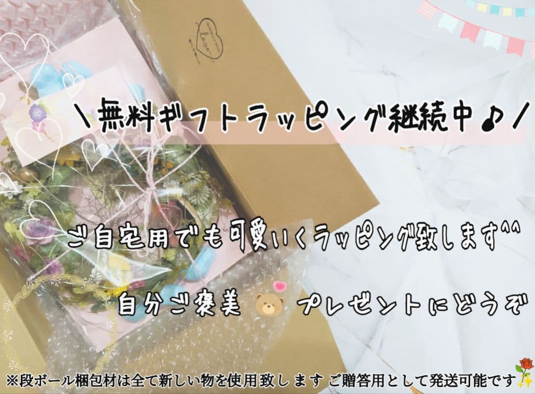 ネイティブスワッグ／プロテア／爽やかワイルドスワッグ✳︎・:*+.碧