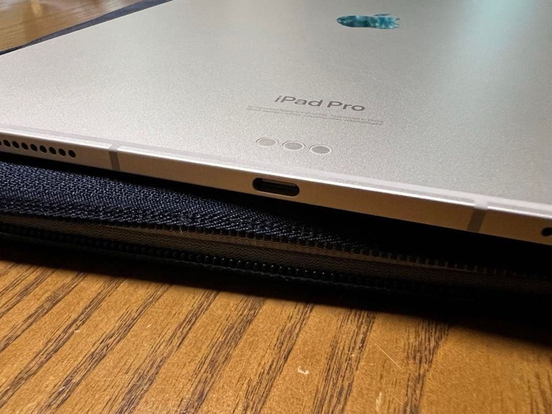 iPad Pro M4 13インチ Cellular シルバー1TB 標準ガラス