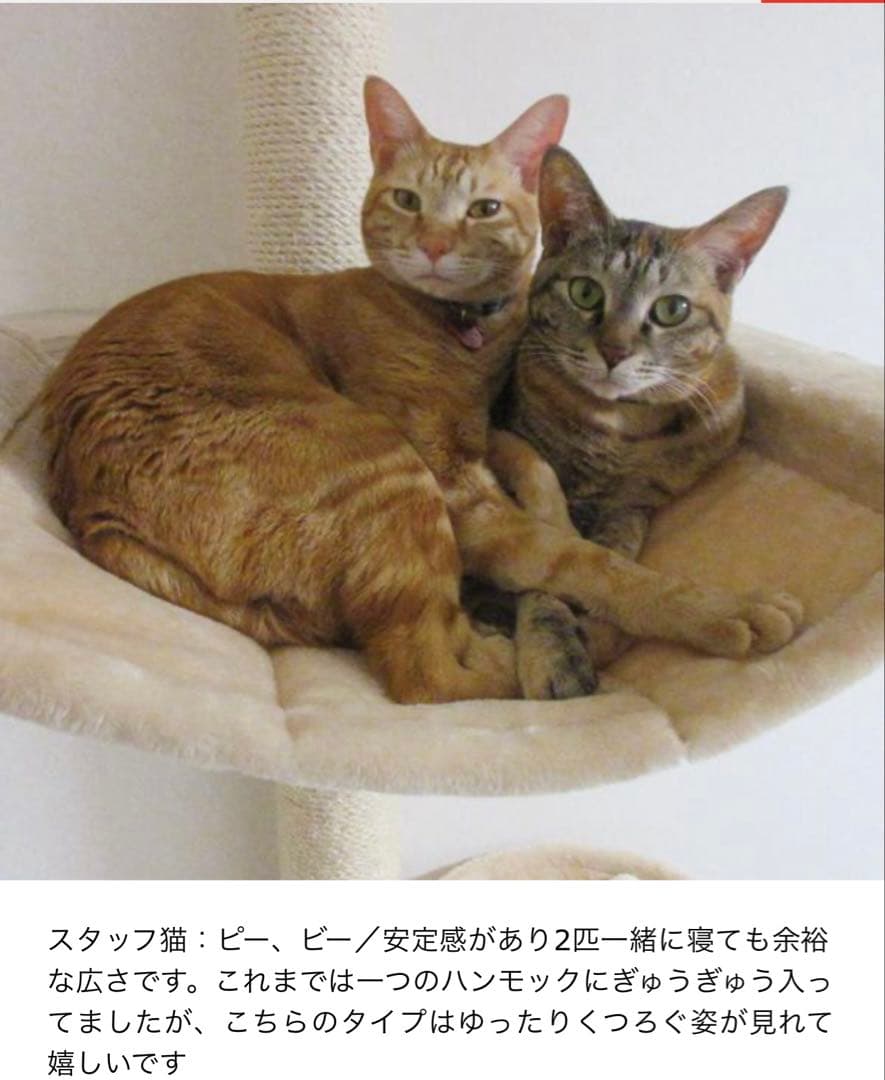 突っ張り型キャットタワー 235cm〜255cm