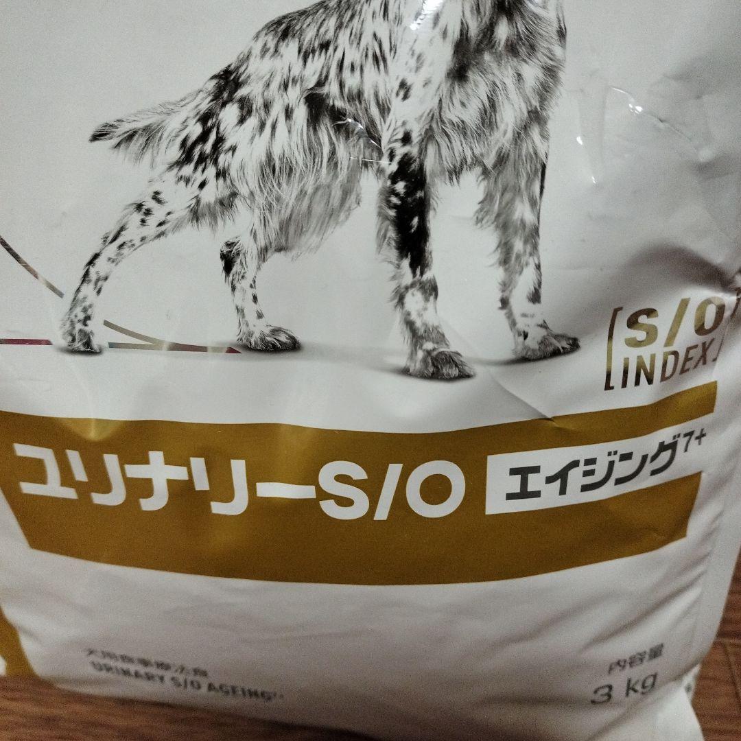 最終値下げ！ CANIN ユリナリーS/O エイジング+ 3kg新品