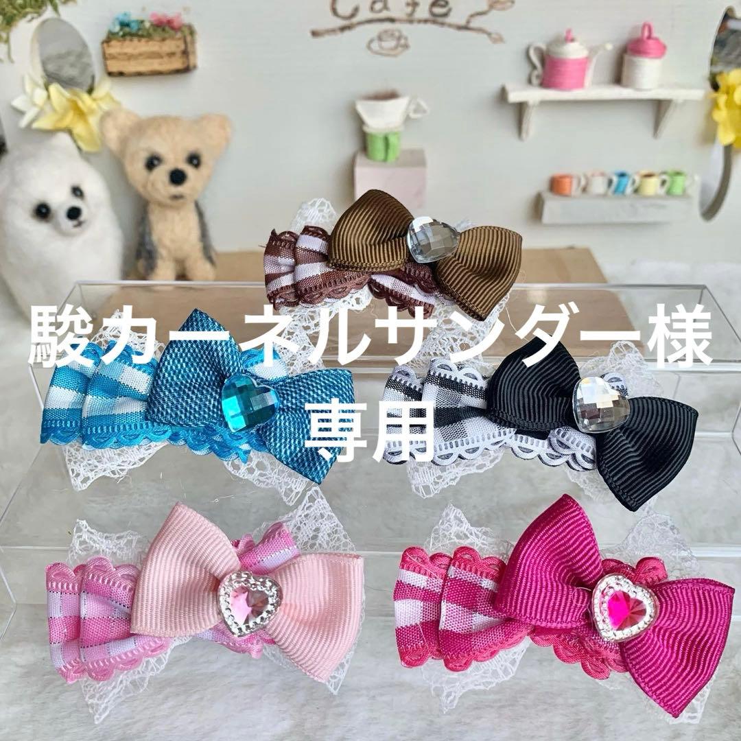 駿カーネルサンダー
