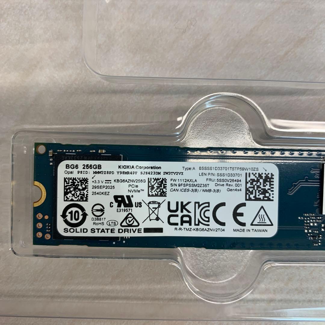 新品外し M.2SSD　KIOXIA 10枚 256GB