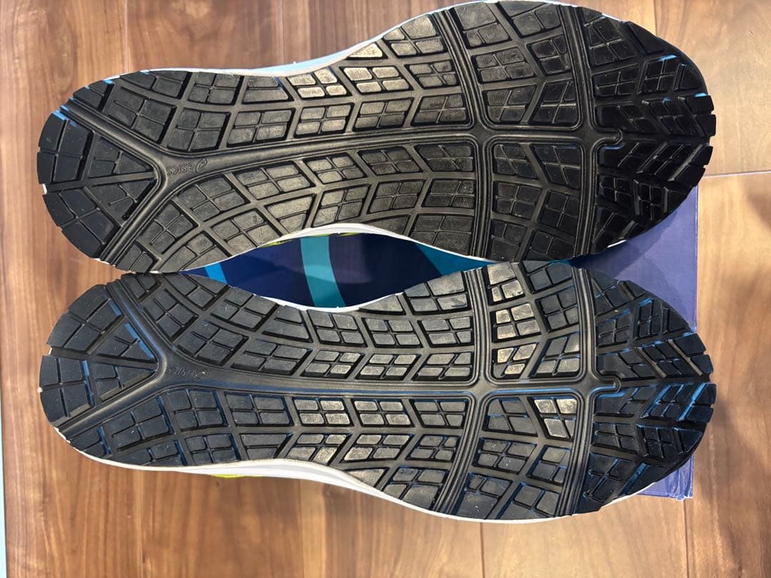 asics ウィンジョブ CP106 ライムシルバー 27.5 cm