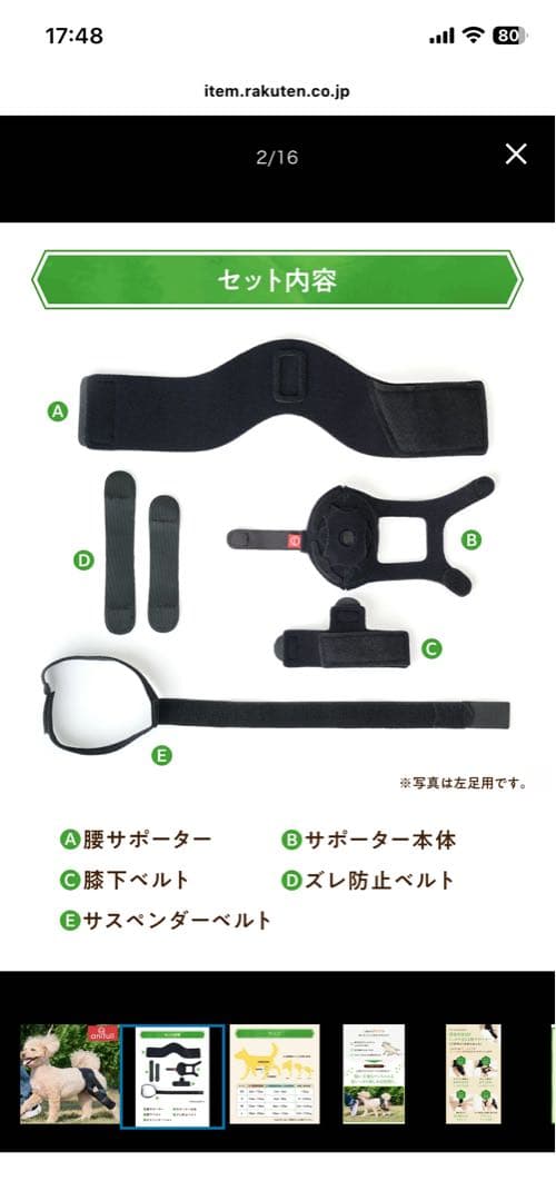 anifull 犬用膝(パテラ用)サポーター M 左足用　3.5〜5.5kg