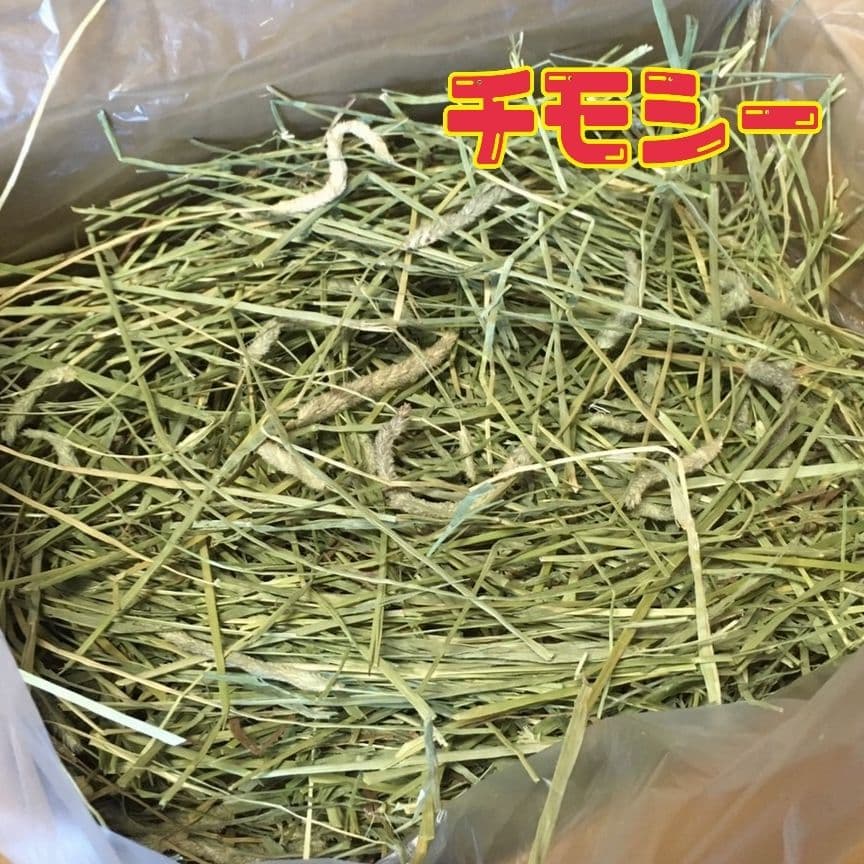 なし　チモシー20kg☆スーパープレミアム☆1番刈り☆US産R6年産
