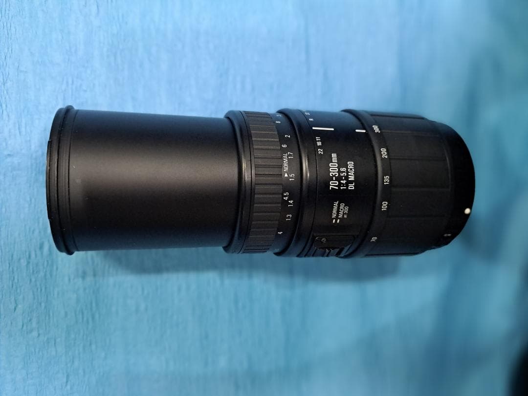 本日特売　シグマ70-300mm　DL F4-5.6 マクロ 　キヤノン用