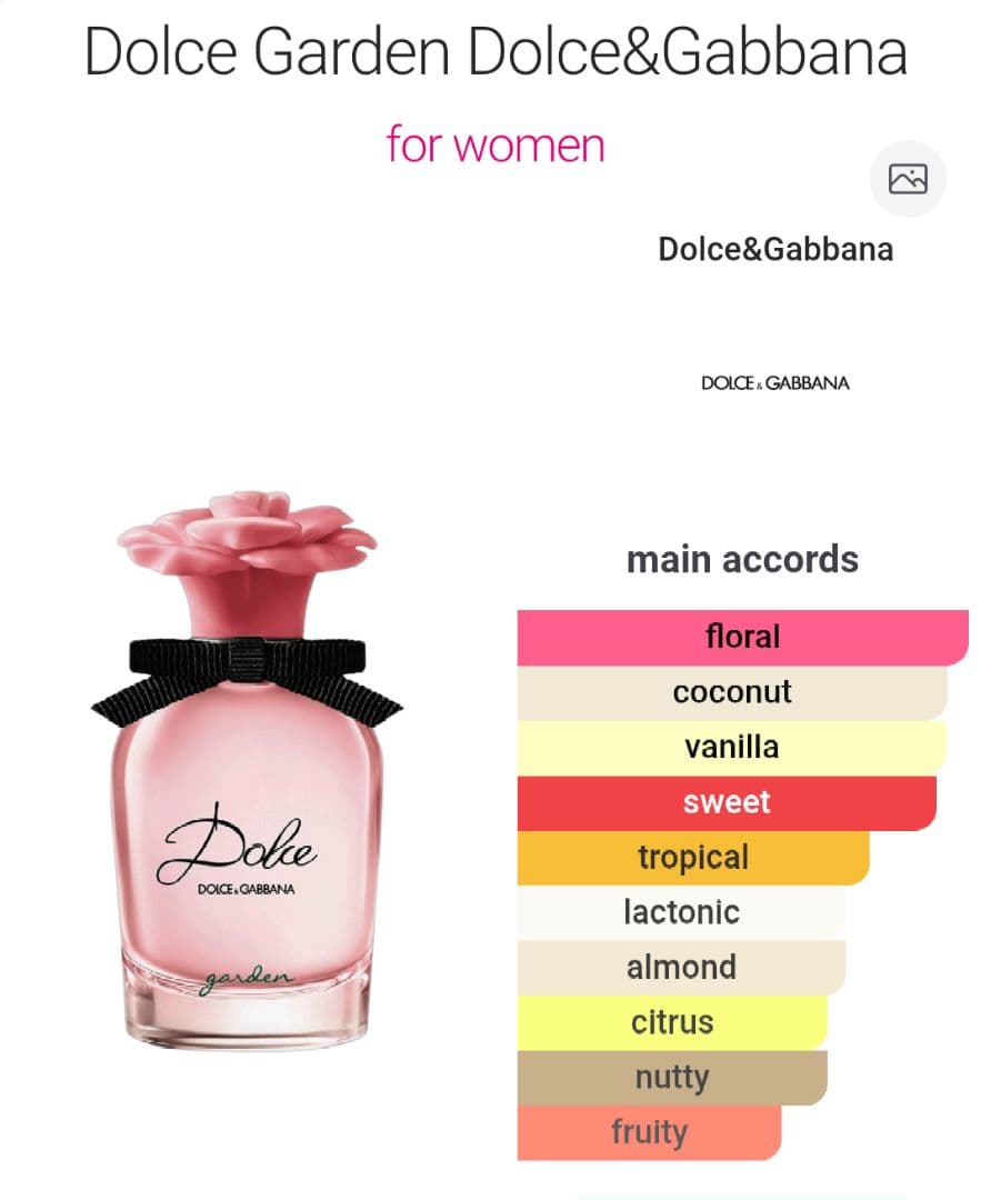 新品 未開封 ドルチェ＆ガッバーナ ドルチェ ガーデン 香水 30ml EDP