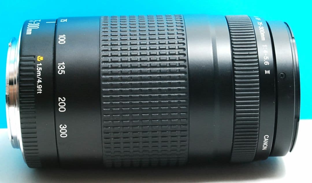 CANON 75 300　2 レンズ　送料無料