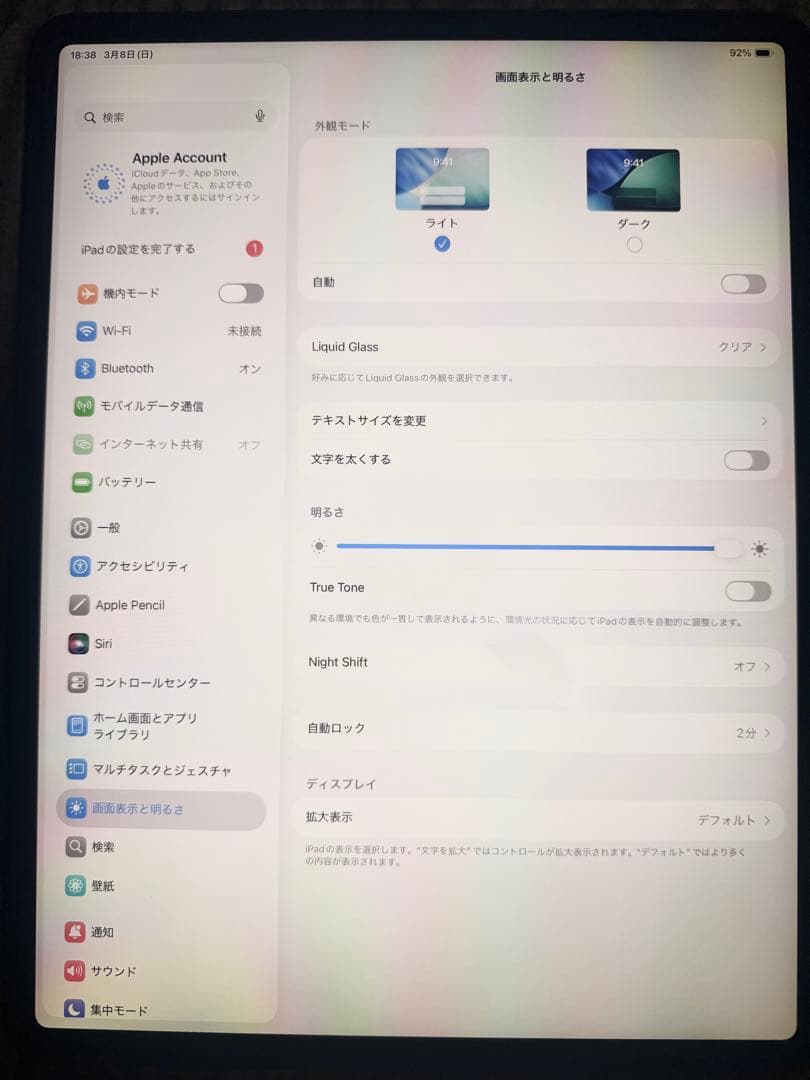 Apple iPad Pro 12.9 256GB 第４世代 +おまけ