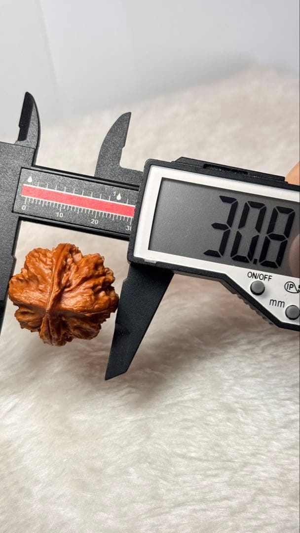 28.9极品秋子