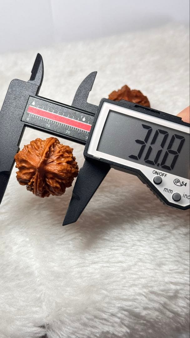 28.9极品秋子