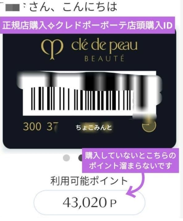 ♡hidemickey♡✨新品クレドポー ボーテ 下地&マキアージュブラシ
