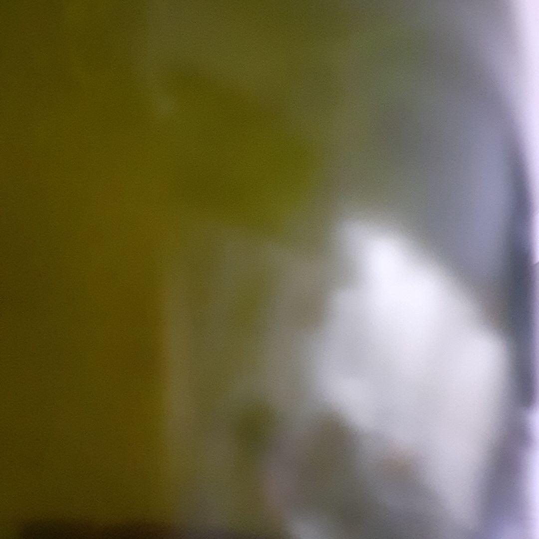 【30年もの】ROPITEAU chablis 1993
