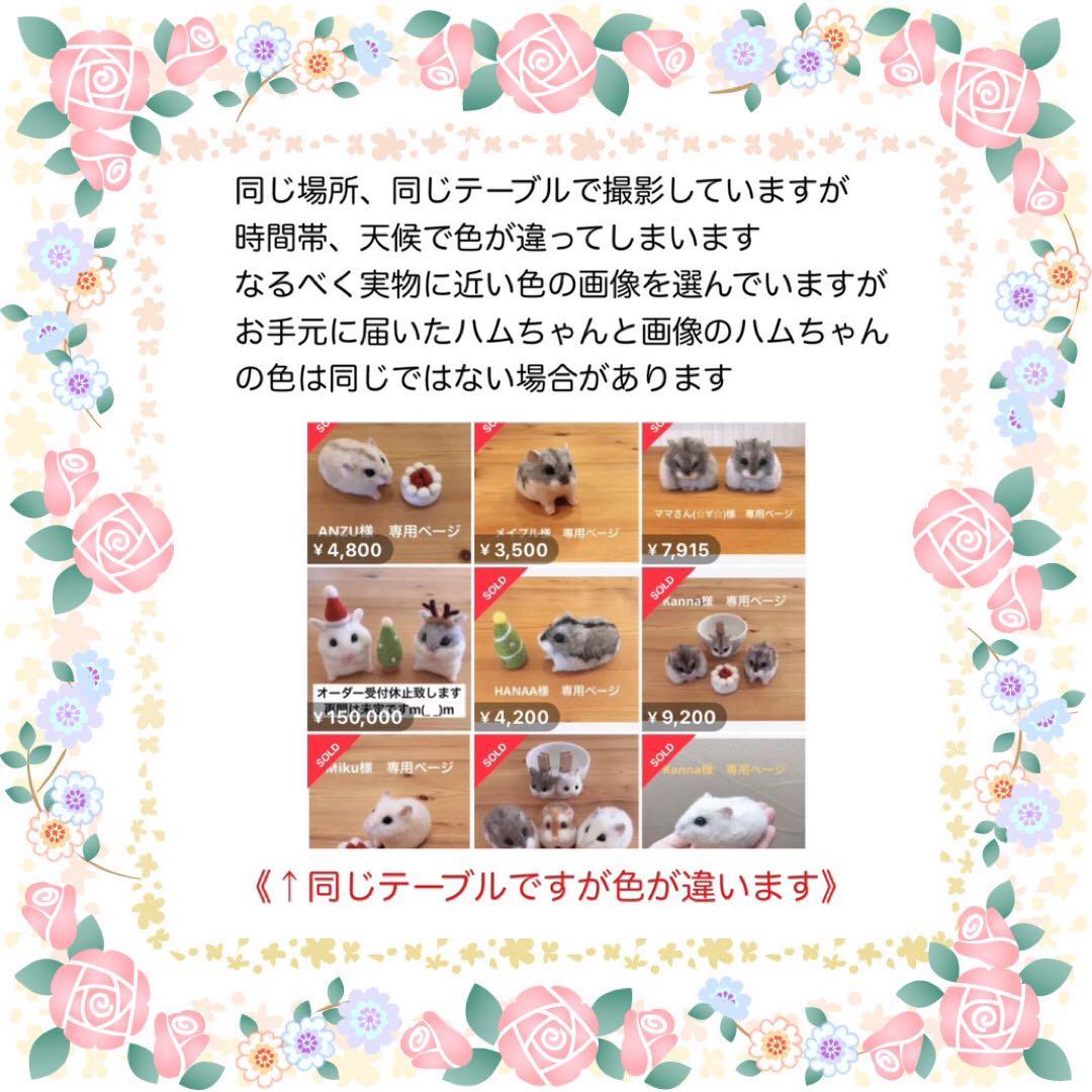 【現在受付休止中】羊毛フェルト　ハムスター　オーダー受付専用ページ