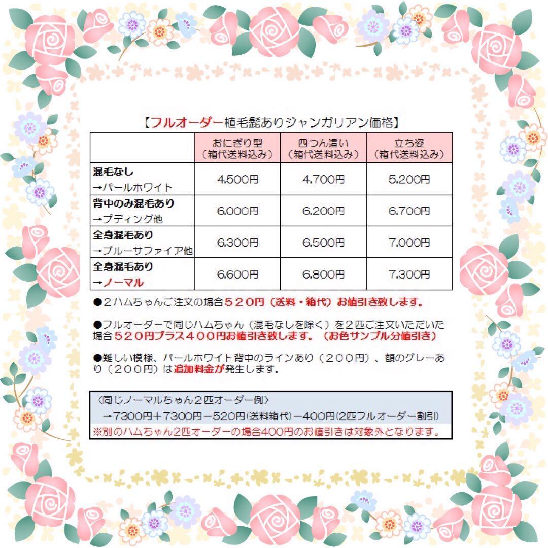 【現在受付休止中】羊毛フェルト　ハムスター　オーダー受付専用ページ