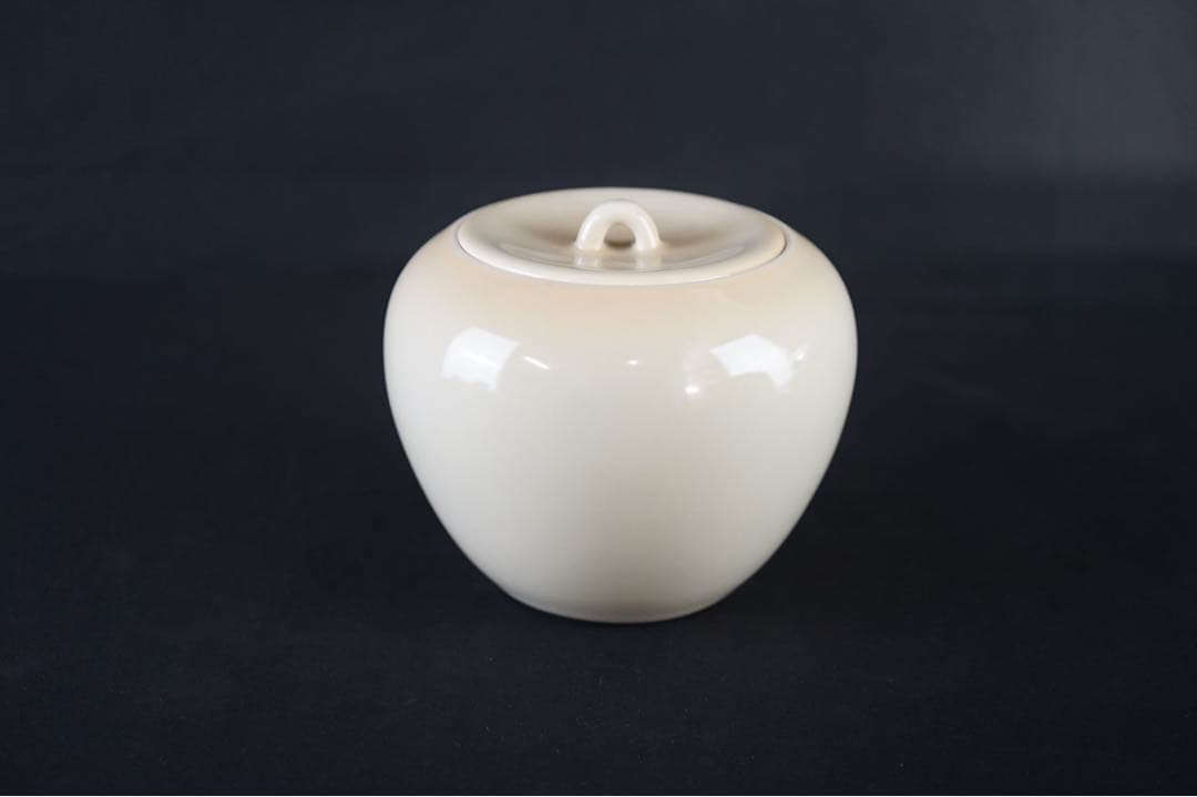 日本工芸会正会員 高井進 妙高焼 黄磁 水指 共箱 共布 栞付 茶道具 茶事