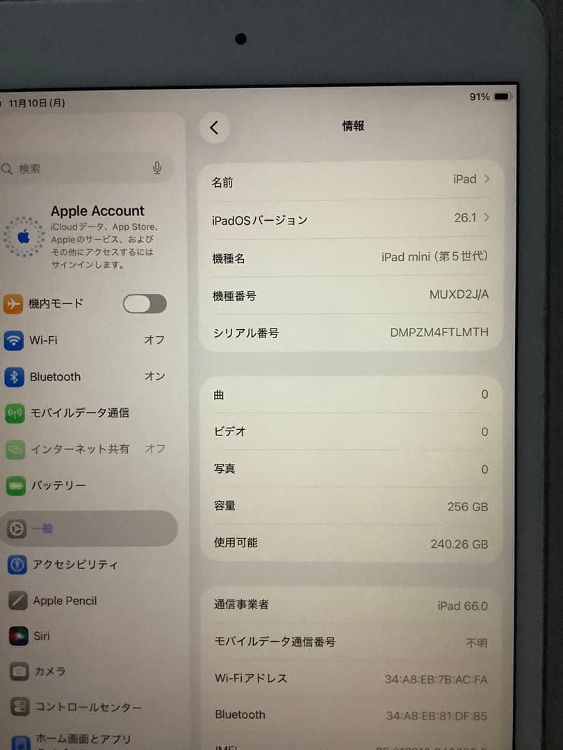 iPad mini 5 Wi-Fi＋Cellular 256GB シルバー美品