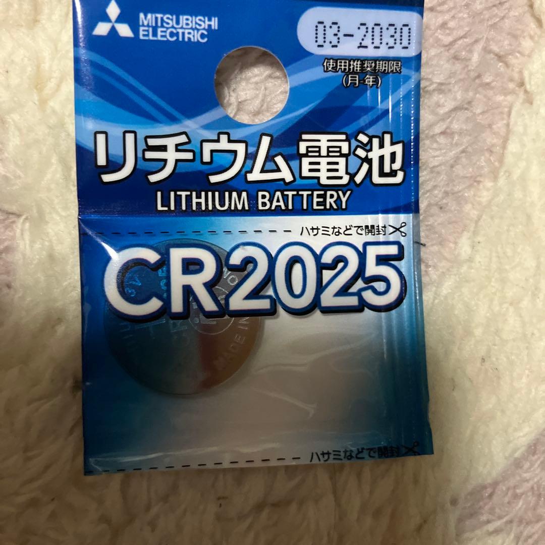 POLAR H10 心拍計 Bluetooth接続