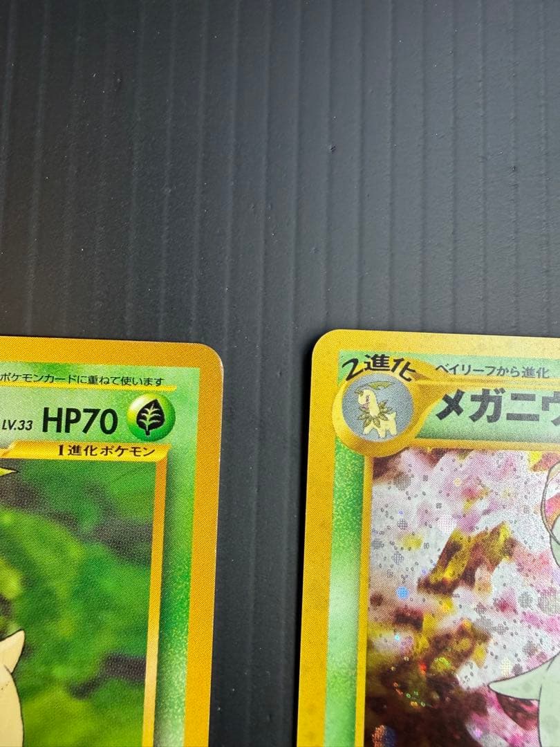 ポケモンカードneo プレミアムファイル 金・銀　９枚セット