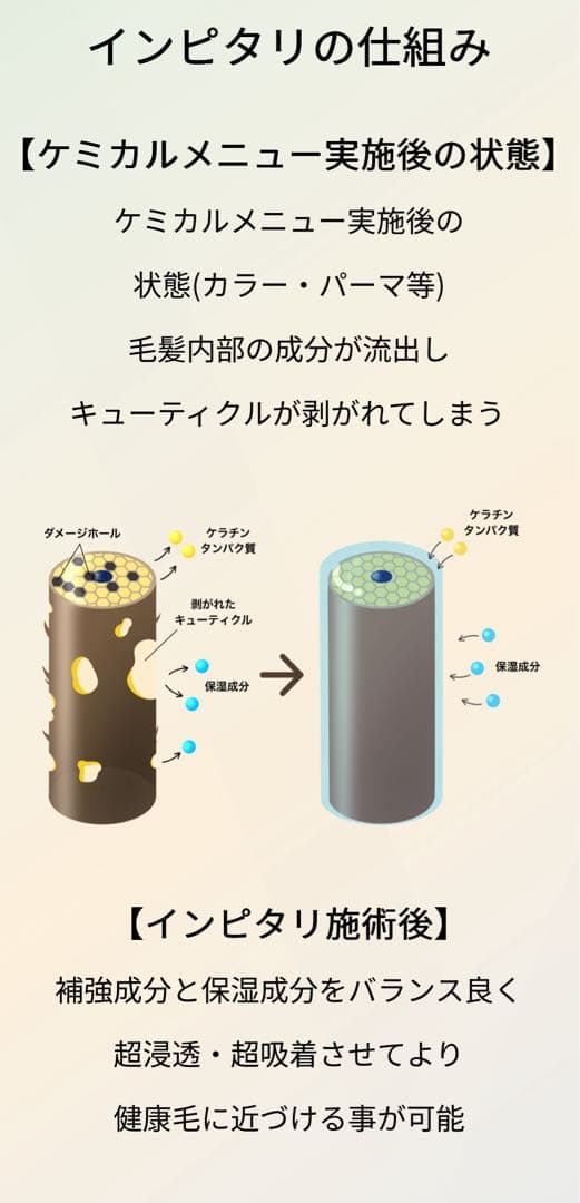 髪質改善 AMASIA INPITARI3種類