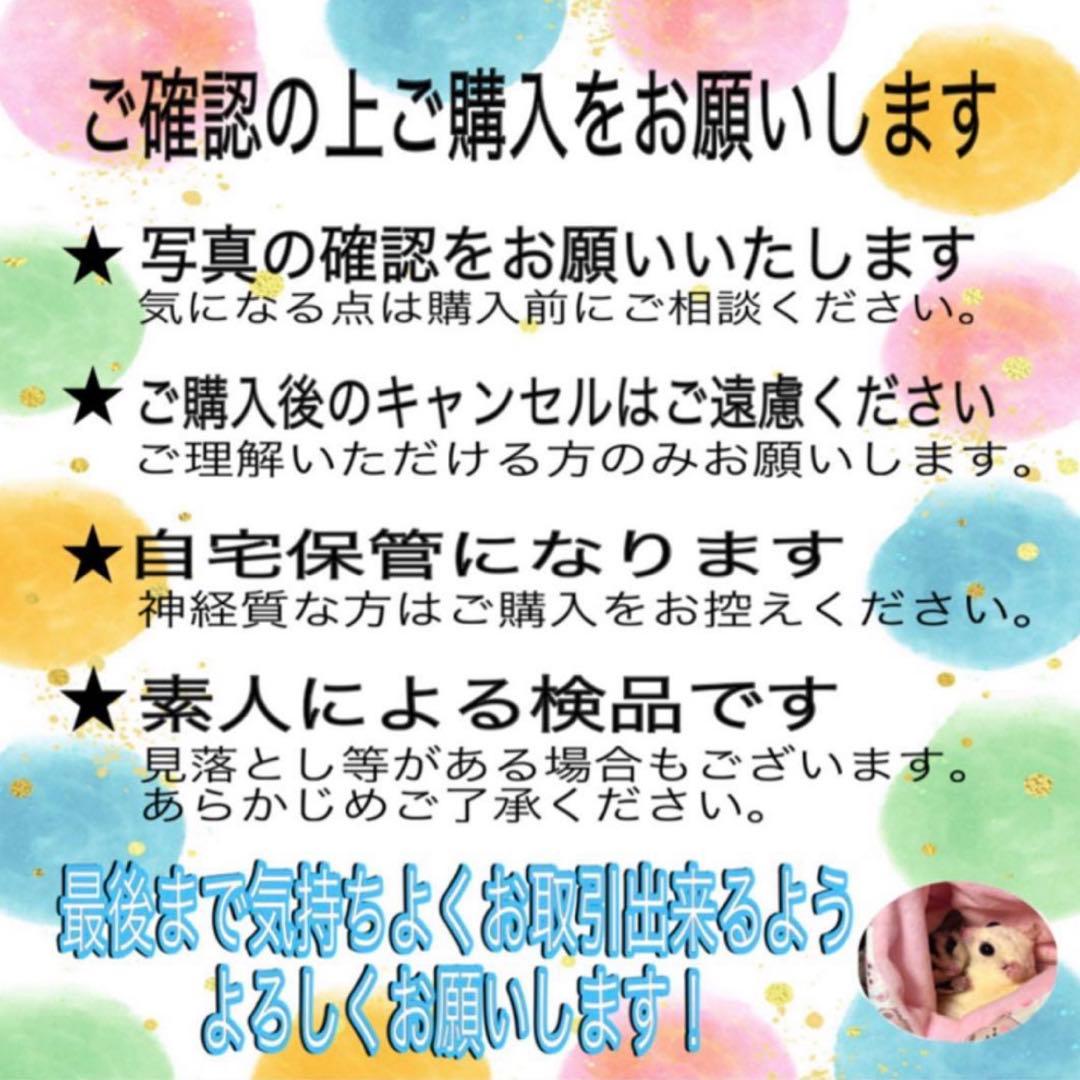 スタートデッキ 100 ピカチュウ ライチュウ ピチュー ミラー セット