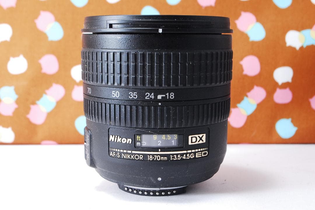 ✨初心者オススメ✨スマホ転送可✨Nikon D5000 レンズセット