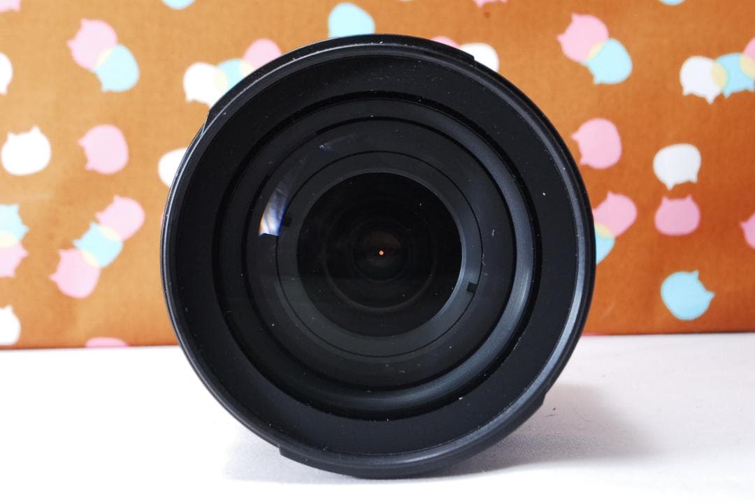 ✨初心者オススメ✨スマホ転送可✨Nikon D5000 レンズセット