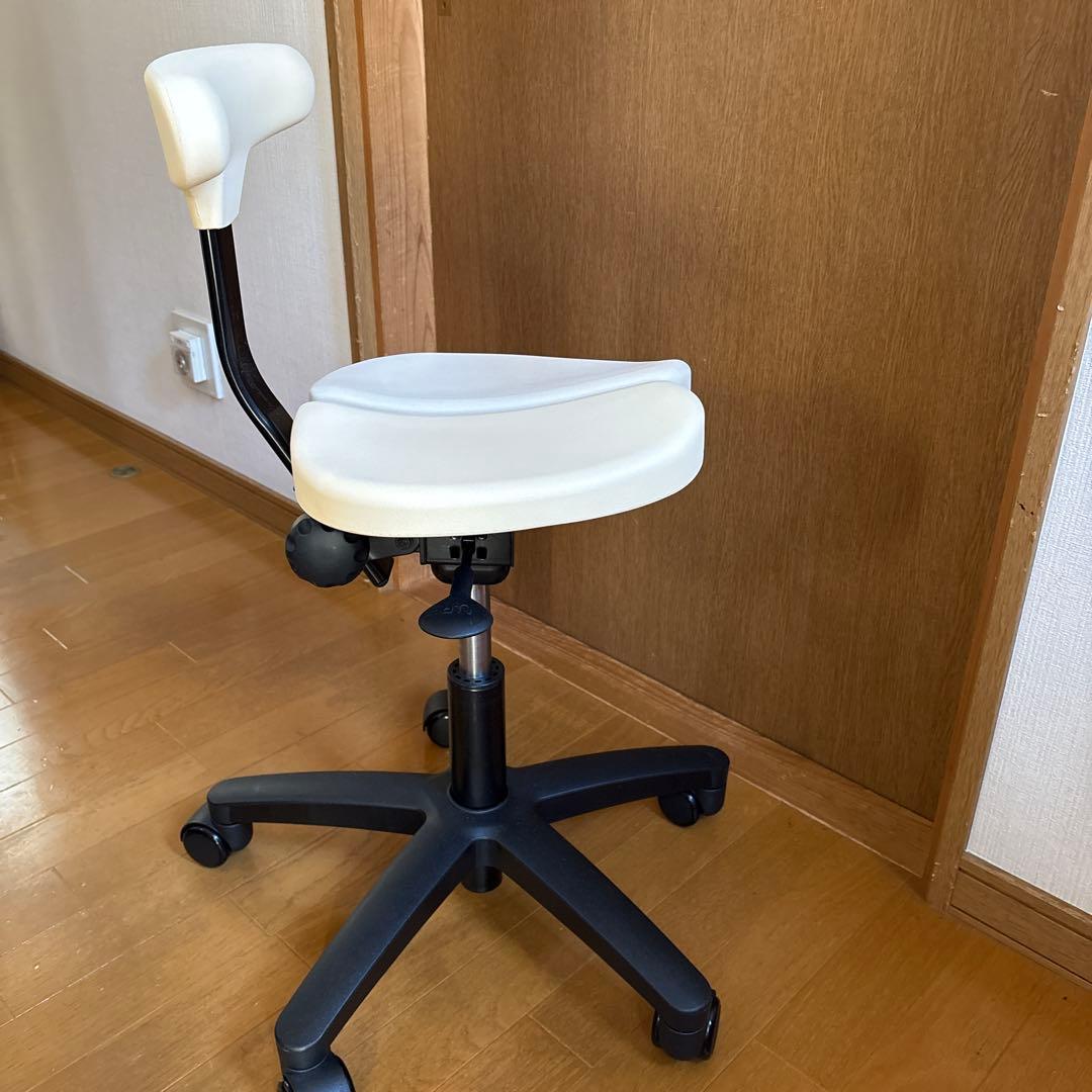 Ayur Chair(アーユルチェアー)オクトパス※シートカバー付き