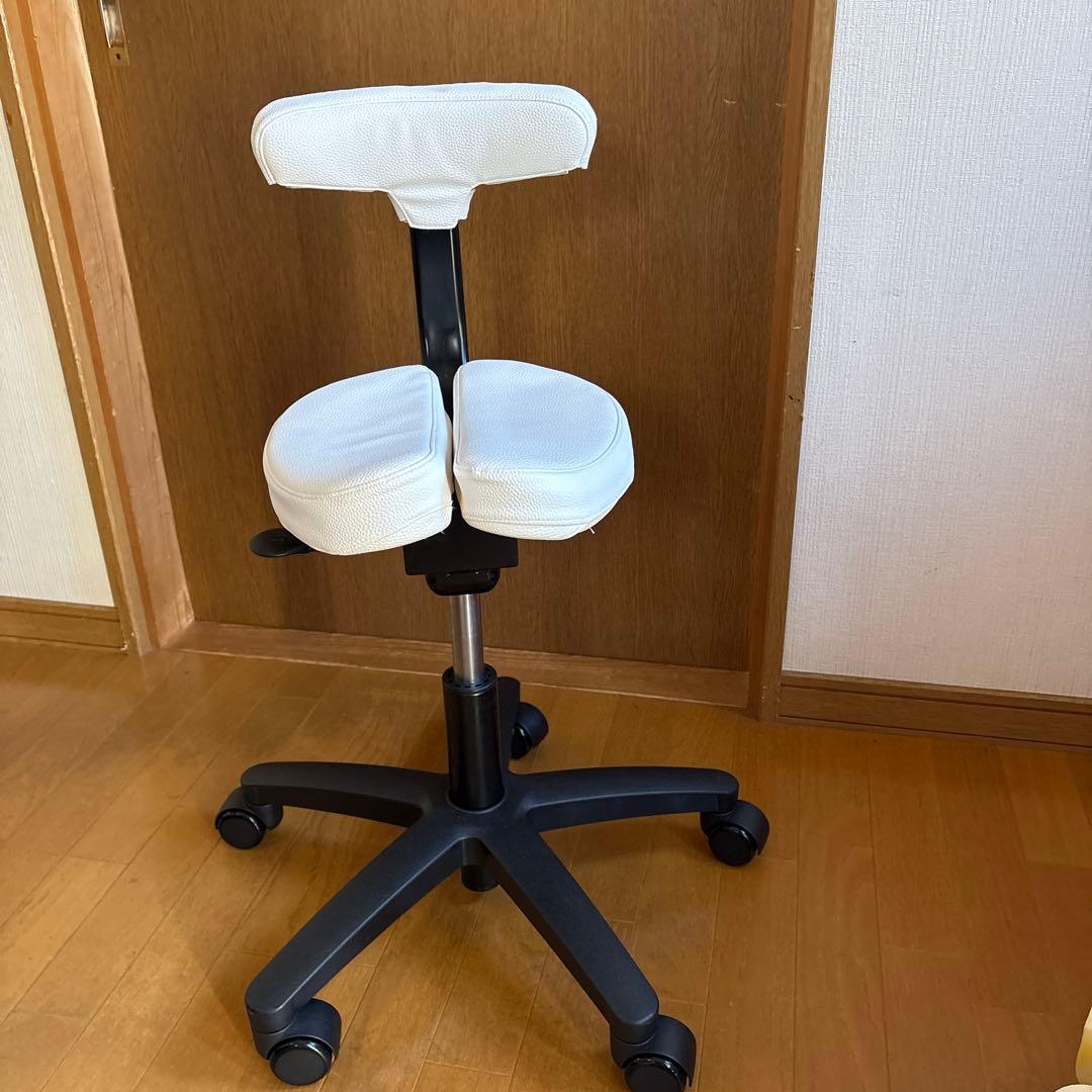 Ayur Chair(アーユルチェアー)オクトパス※シートカバー付き