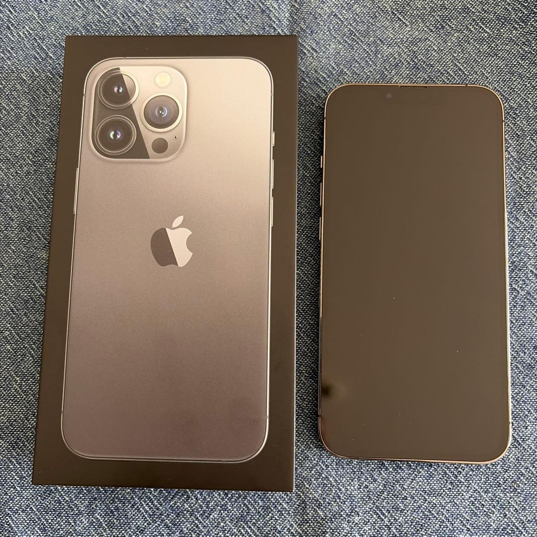 美品: Apple iPhone 13 Pro グラファイト