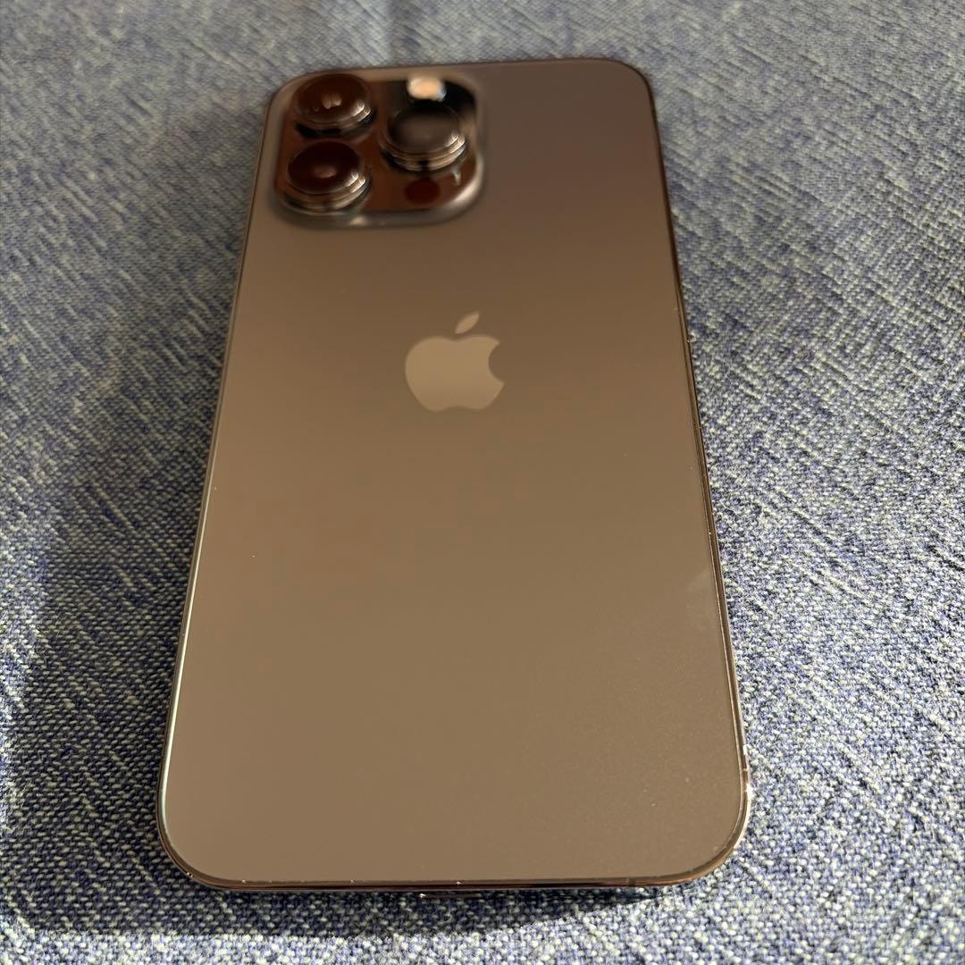 美品: Apple iPhone 13 Pro グラファイト