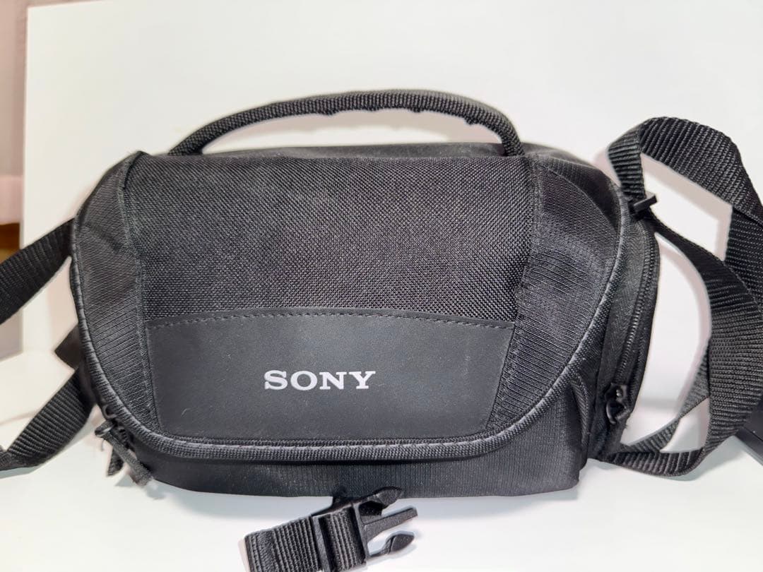 SONY 4K ビデオカメラ FDR-AX45 動作品