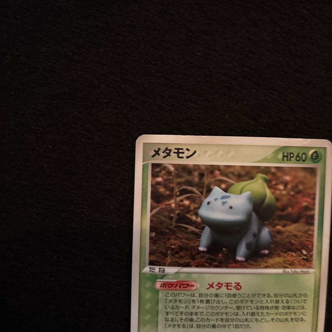 ポケモンカード メタモン フシギダネ